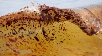 Oil spill washes ashore in Orange Beach, Alabama